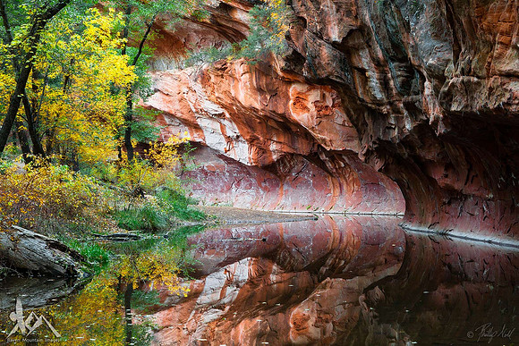 Canyon Reflections