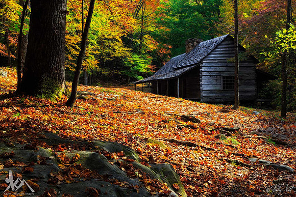 Afternoon Light at the Ogle Place