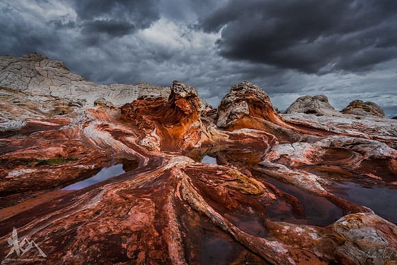 Origin of Life