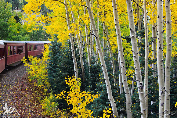 Aspen Tracks