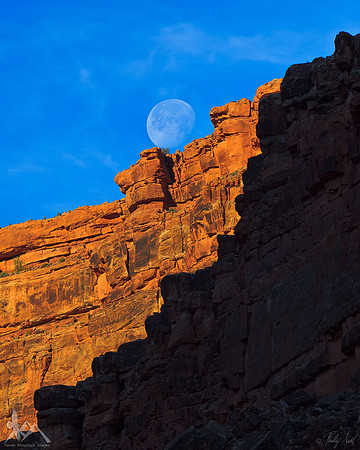 Capture the Moon