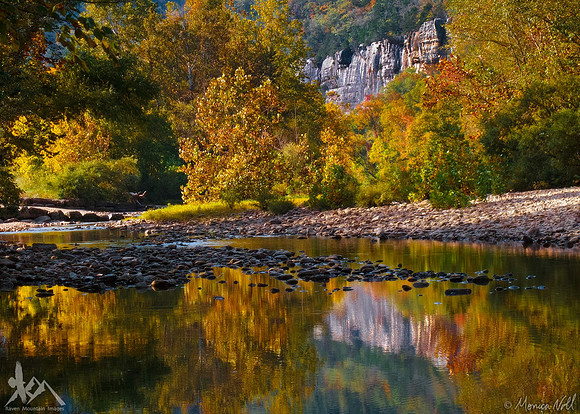 Steel Creek