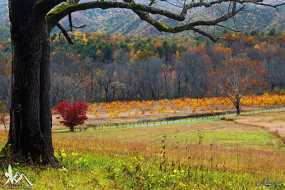 Cades Cove Autumn