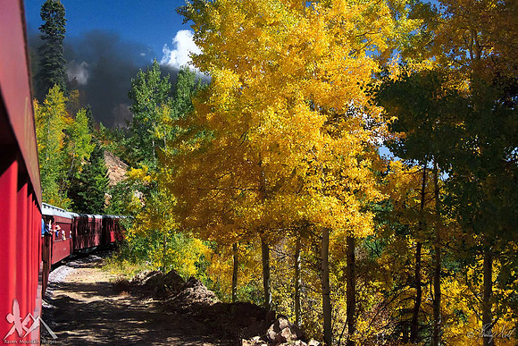 Autumn Gold