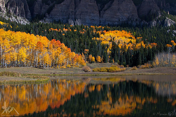 Aspen Delight