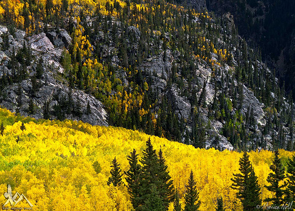 Aspen And Stone