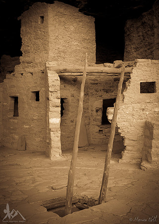 Kiva Ladder