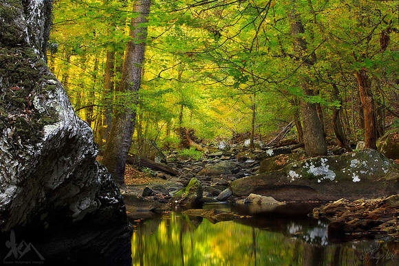 Cedar Creek