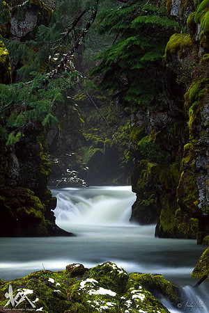 Rogue Chasm