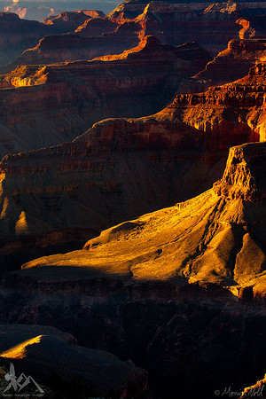 Beautiful Light
