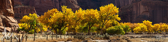 Autumn: Canyon de Chelly