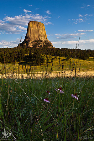 Prairie Beacon