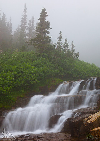 Lunch Creek Fog