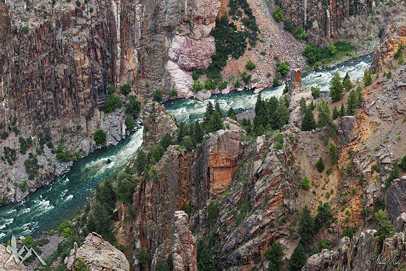 Canyon Carver