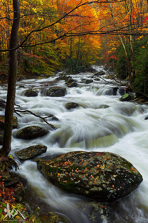 Colorful Cascade