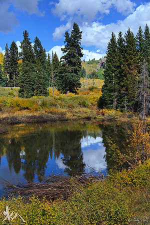 Cumbres Beaver Pond