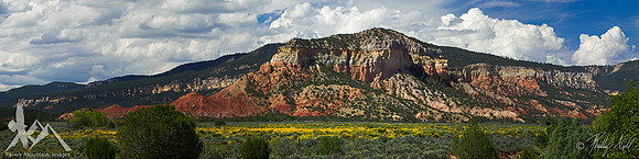 A New Mexico Summer