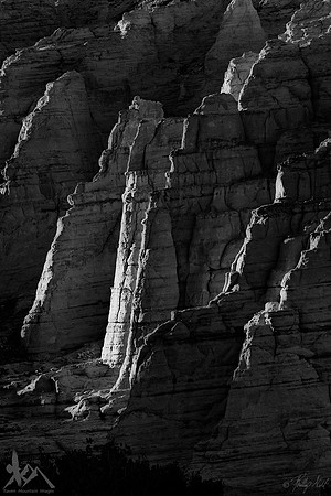 Light And Form