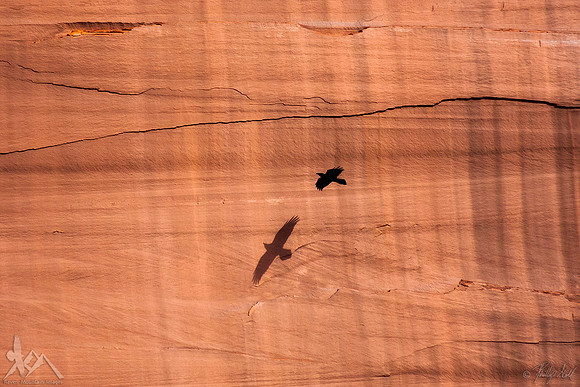 Me and My Shadow