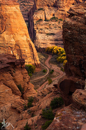 Inside the Rock