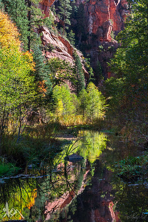 West Fork Bliss