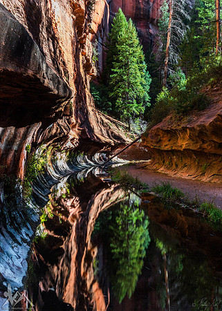 Natural Mirror