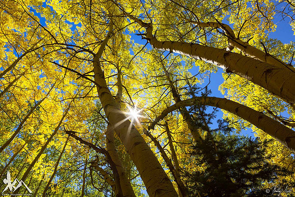 Sun Worship