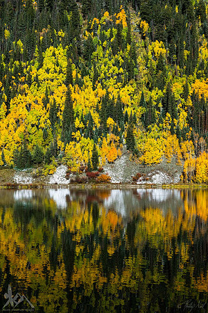 Fall Impressions
