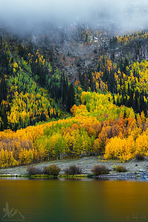 Autumn Spills Forth