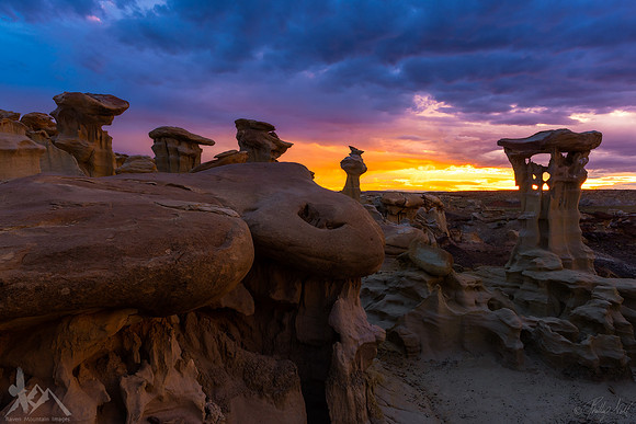 Cretaceous Sunset