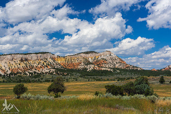 New Mexico