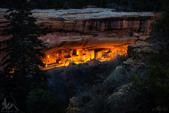 Evening at Spruce Tree House