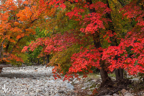 Orange and Red