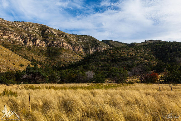 Mouth of Dog Canyon