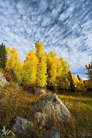 Fall Skies
