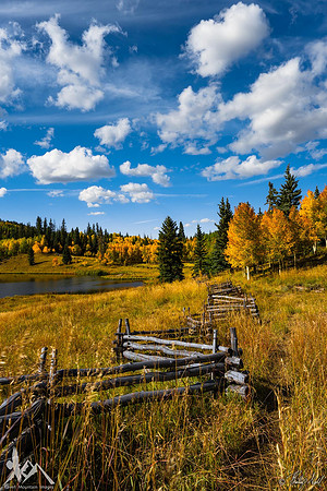 Autumn's Gold