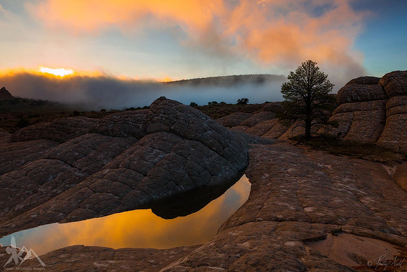 Foggy Sunrise