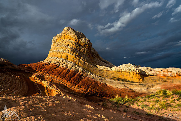 Amazing Light