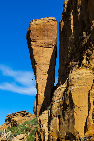 Precarious