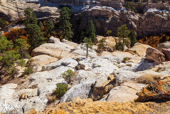 Hidden Canyon
