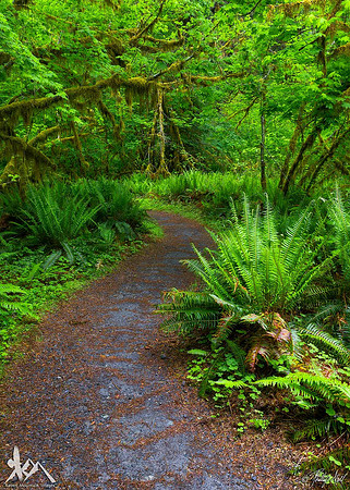 The Road Goes Ever On