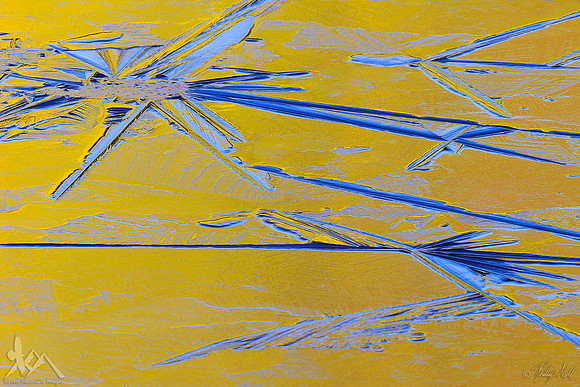Frozen Reflections