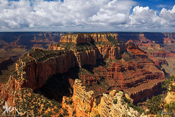 Canyon Summer