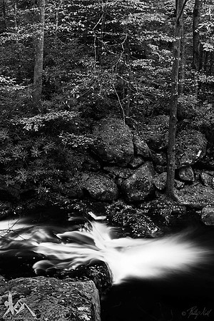 Black Water