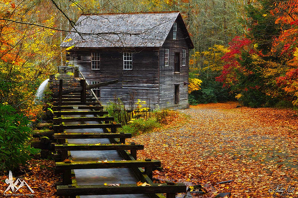 Mingus Mill