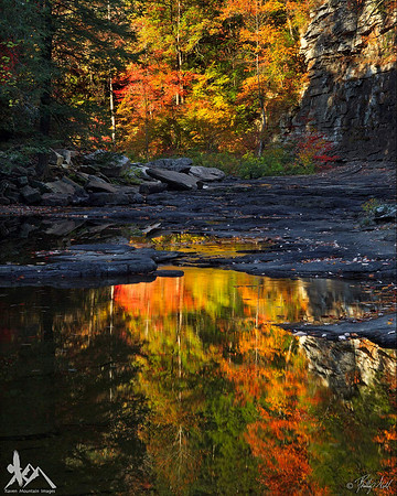 Cane Creek Reflections