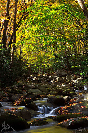 Porters Creek