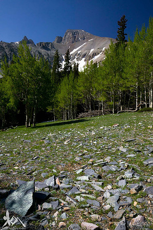Wheeler Peak