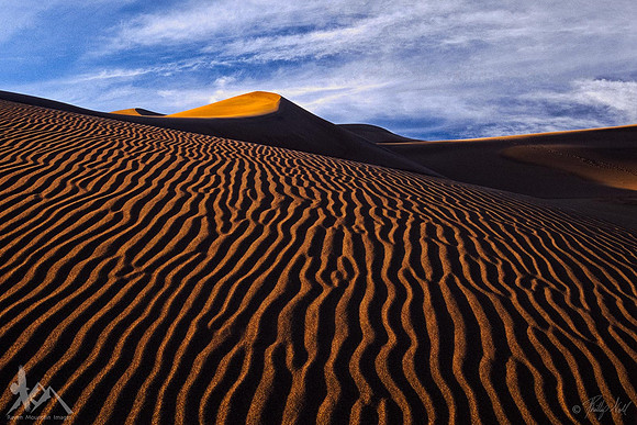 Dune
