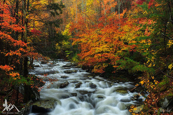 Tremont Fall
